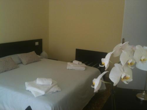 Eco Marela Bed & Breakfast *