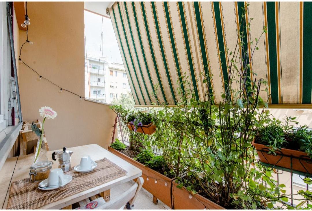 Eco Marela Bed & Breakfast Roma