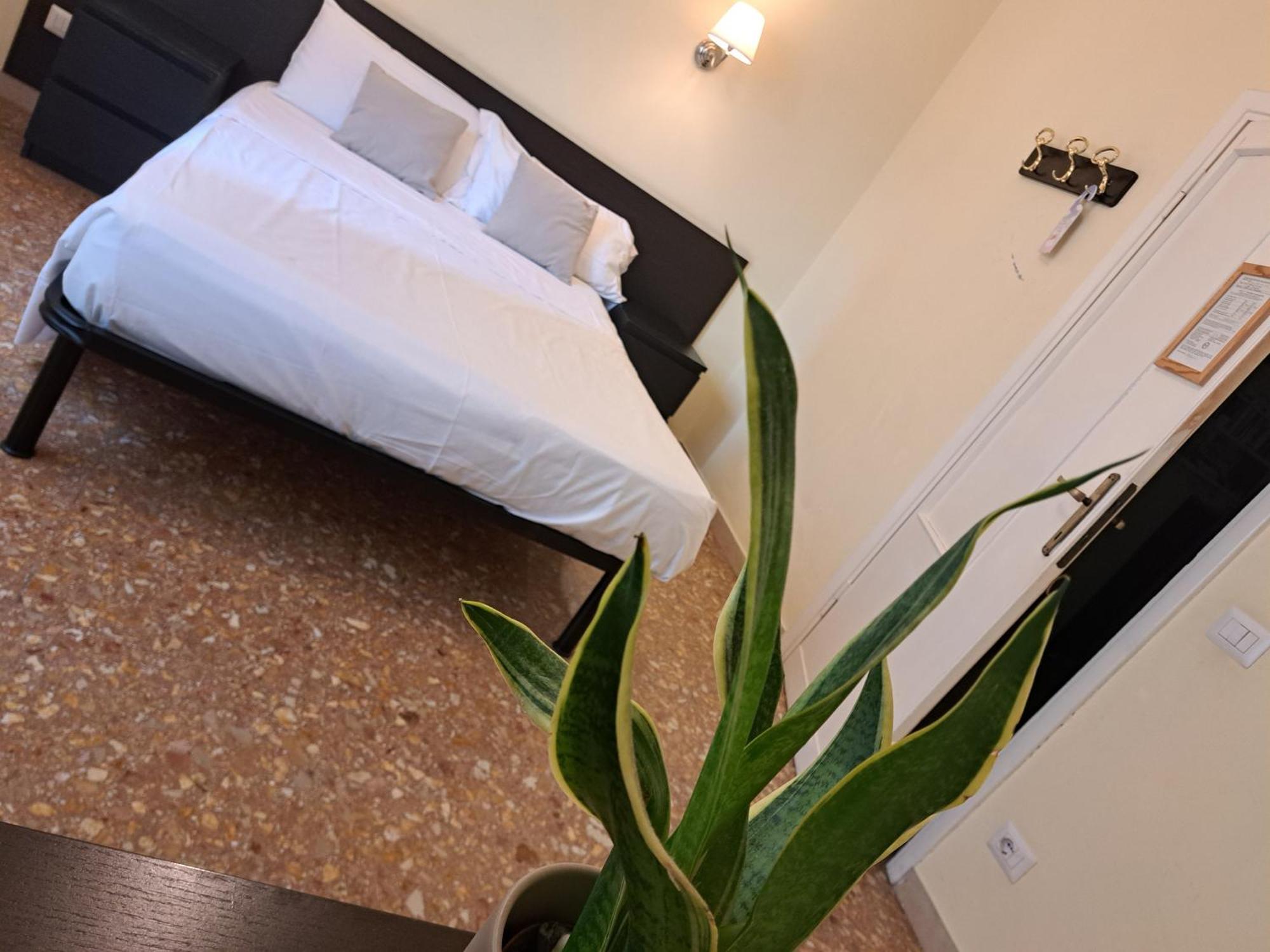 Eco Marela * Roma