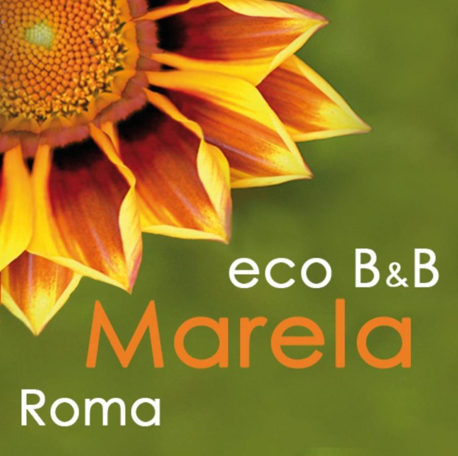Eco Marela Rom