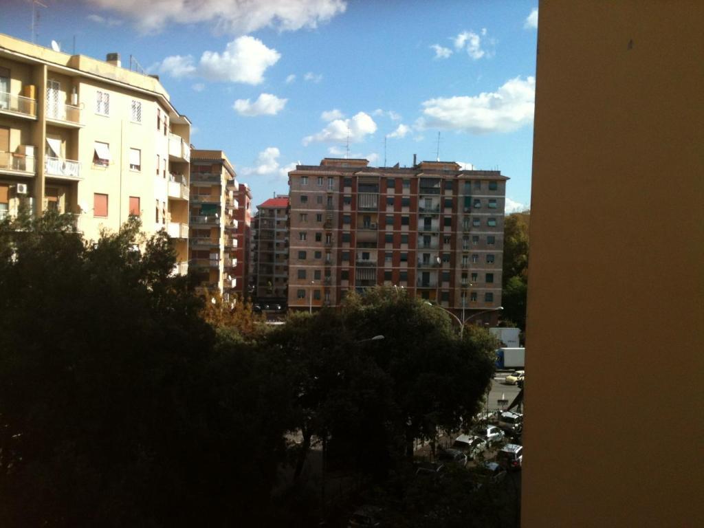 Eco Marela